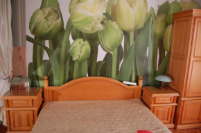 Гостиница Stivan Iskar Hotel  София